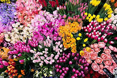 《过山车之星2》上市预告片炒热发行气氛